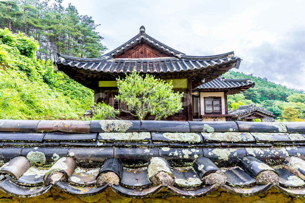 기와,문화유산,고택,문양,패턴,한국전통,한국문화,korean traditional,korean culture,건축물,건물외관,exterior,building,structure,architecture,construction