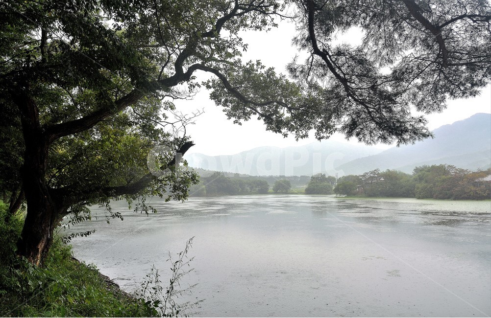 풍경,나무,호수,자연,산,자연,풍경,nature,landscape,식물,plants,나무,trees,wood,water,물,outdoors,옥외,land,땅