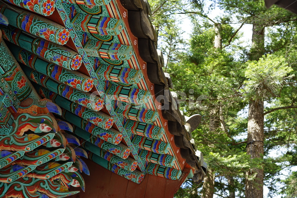 단청,한국적,전통적,전통문양,처마,한국전통,한국문화,korean traditional,korean culture,건축물,건물외관,exterior,building,structure,architecture,construction