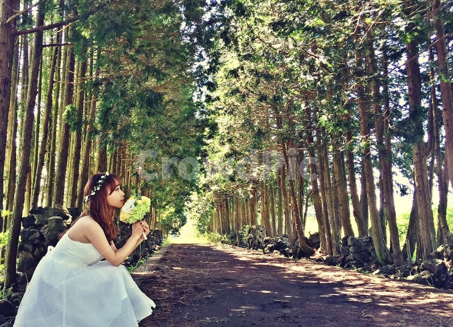 셀프웨딩,제주도,결혼,커플,여친,사랑,자연,풍경,nature,landscape,사람,인물,인간,human,person,여성,여자,woman,female,lady,결혼,혼례,웨딩,wedding,marriage,marry,기념일,축하,anniversary,congratulation,celebrate,celebration,fashion,패션,robe,옷,evening dress,이브닝 드레스,gown,겉옷