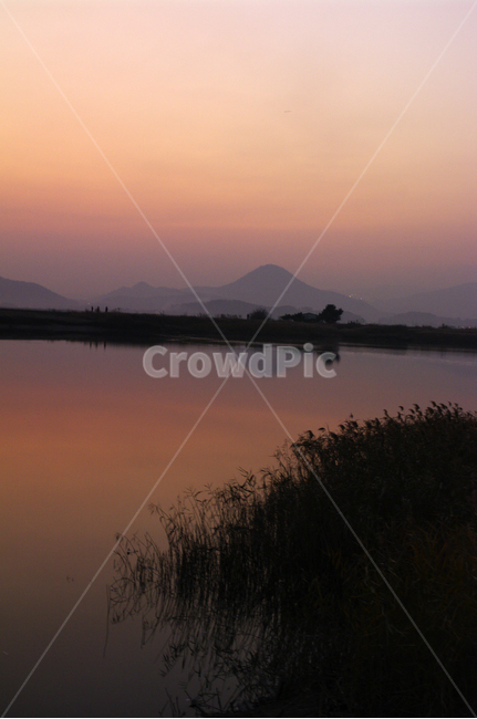 순천만,일몰,노을,풍경,갈대밭,강,하늘,그림자,자연,풍경,nature,landscape,outdoors,옥외,land,땅,water,물