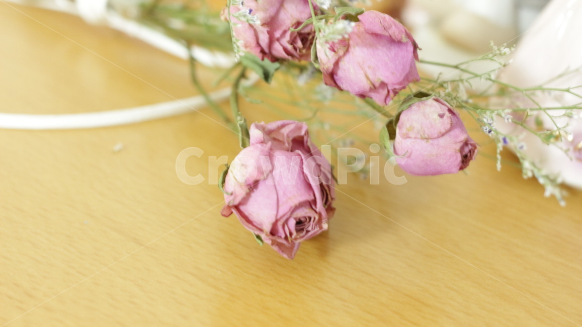 꽃,사랑,드라이플라워,장미,기념일,pink,dryrose,dryflower,꽃다발,여자친구,남자친구,연인,기념일선물,감성,꽃,flower,기념일,축하,anniversary,congratulation,celebrate,celebration