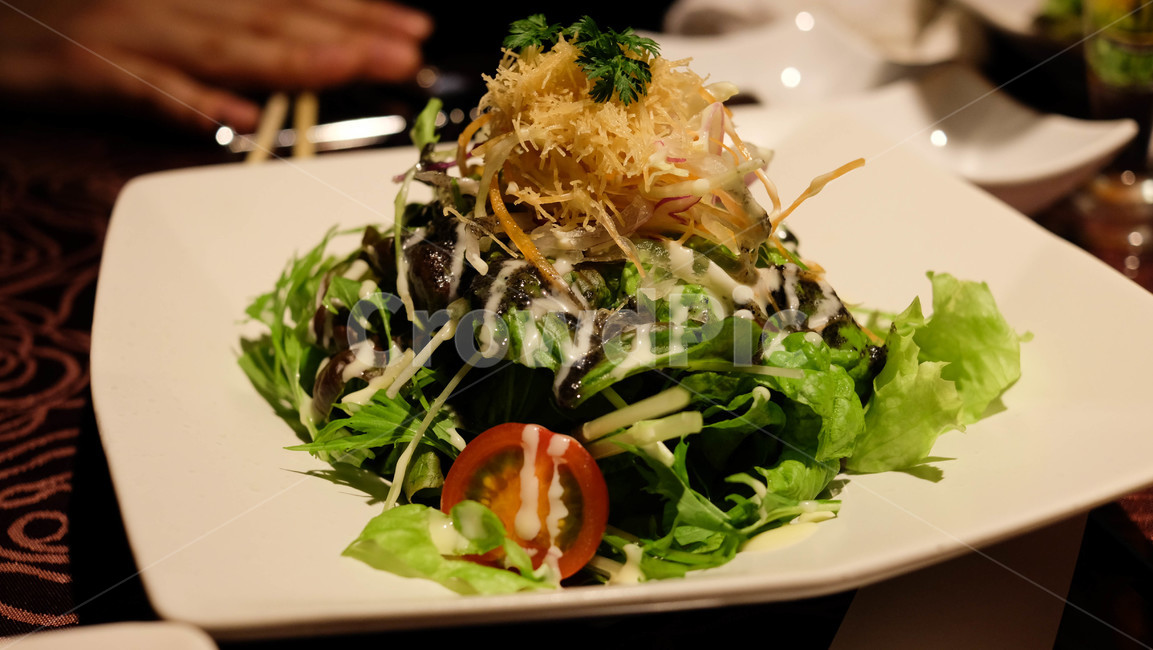 샐러드,가든샐러드,음식,레스토랑,salad,gardensalad