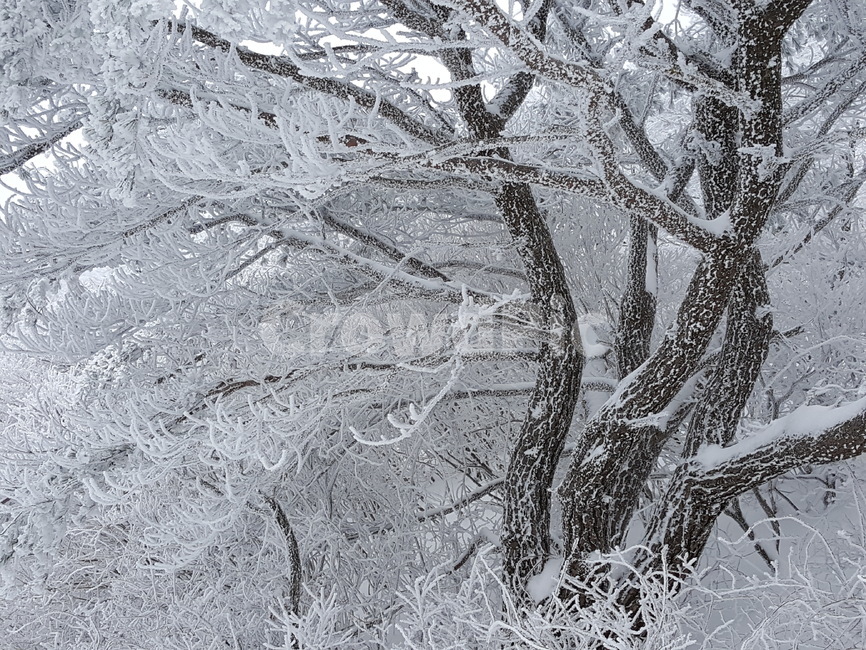 nature,자연,outdoors,옥외,snow,ice,눈