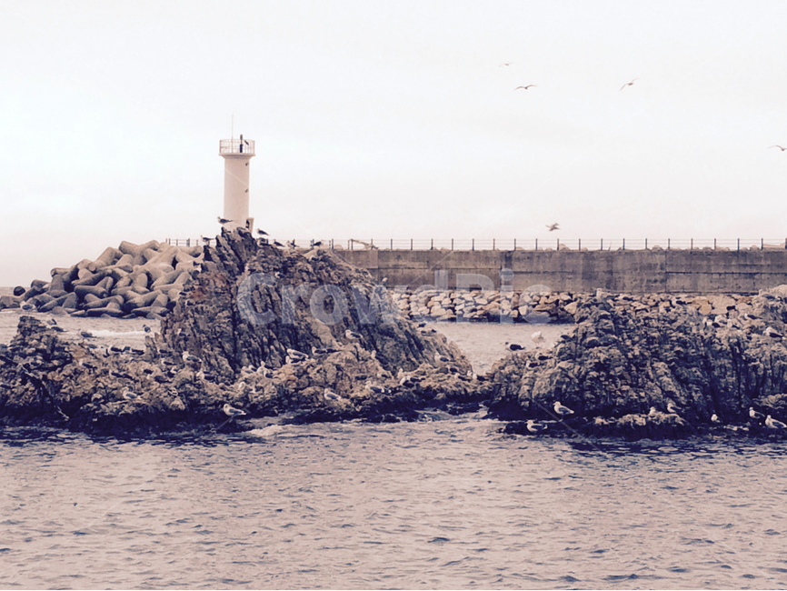 seawall,방파제,갈매기,등대,바다,seagull,자연,풍경,nature,landscape,빈티지사진,빈티지느낌,빈티지감성,vintage,architecture,건축물,tower,탑,building,건물