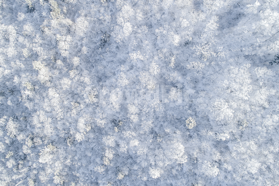 겨울,상고대,눈꽃,눈,풍경,감성사진,항공촬영,snow,겨울,계절,winter,season,자연,풍경,nature,landscape,outdoors,옥외
