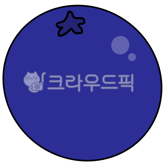 Blueberry,blueberry fruit,blueberry illustrator,blueveil illustration,blueberry drawing,blueberry hand drawing,blueberry fruit