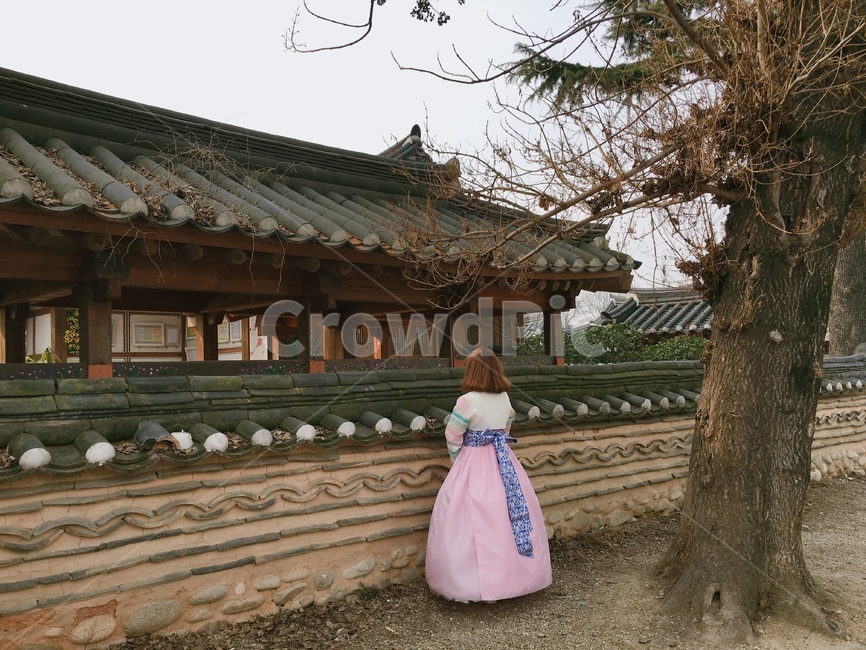 전주,한옥마을,한복,한옥,궁,뒷모습,한국,전통,한국전통,한국역사,인물,jeonju,전통의상,한국전통의상,한국문화,koreanculture,koreanhistory,koreantraditional,person,hanbok,기와,한복,한국전통의상,hanbok,korean traditional clothes,사람,인물,인간,human,person,여성,여자,woman,female,lady