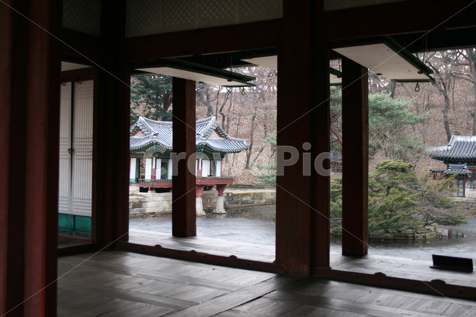 창덕궁,후원,부용정,부용지,세계문화유산,문화유산,한국,한국전통,한국문화,korean traditional,korean culture,랜드마크,landmark,tourist attraction,한국랜드마크,한국관광지,한국명소,korea landmark,korea tourist attraction