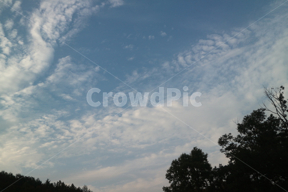 구름,하늘,풍경,sky,파랑,자연,풍경,nature,landscape,outdoors,옥외