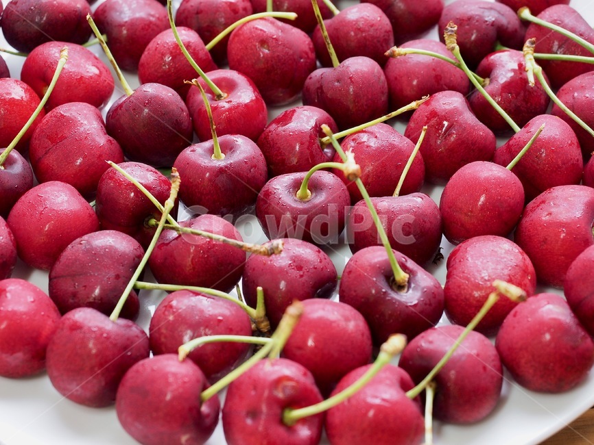 체리,과일,음식,자연,신선함,건강한식생활,유기농,날것,달콤한음식,빨강,배경,cherry,fruit,food,nature,freshness,healthyeating,organic,rawfood,sweetfood,red,background,과일,열매,fruit