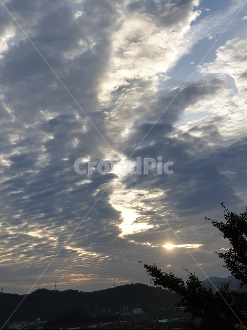 cloud,sky,tree,nature,구름,나무,하늘,자연,풍경,nature,landscape,outdoors,옥외