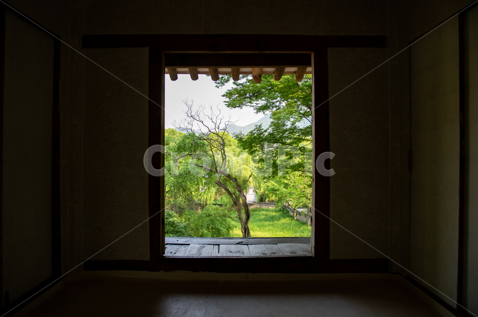 프레임,자연,나무,풍경,한옥,한국전통,한국문화,korean traditional,korean culture