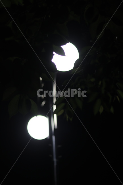 가로등,나무,빛,야경,따스함,야경,밤,풍경,nightscape,night,landscape