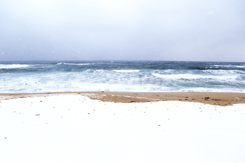 겨울,겨울바다,눈,강릉,강릉바다,겨울,계절,winter,season,자연,풍경,nature,landscape,해변,바다,beach,sea,ocean,대양,outdoors,옥외,water,물,shoreline,해안선