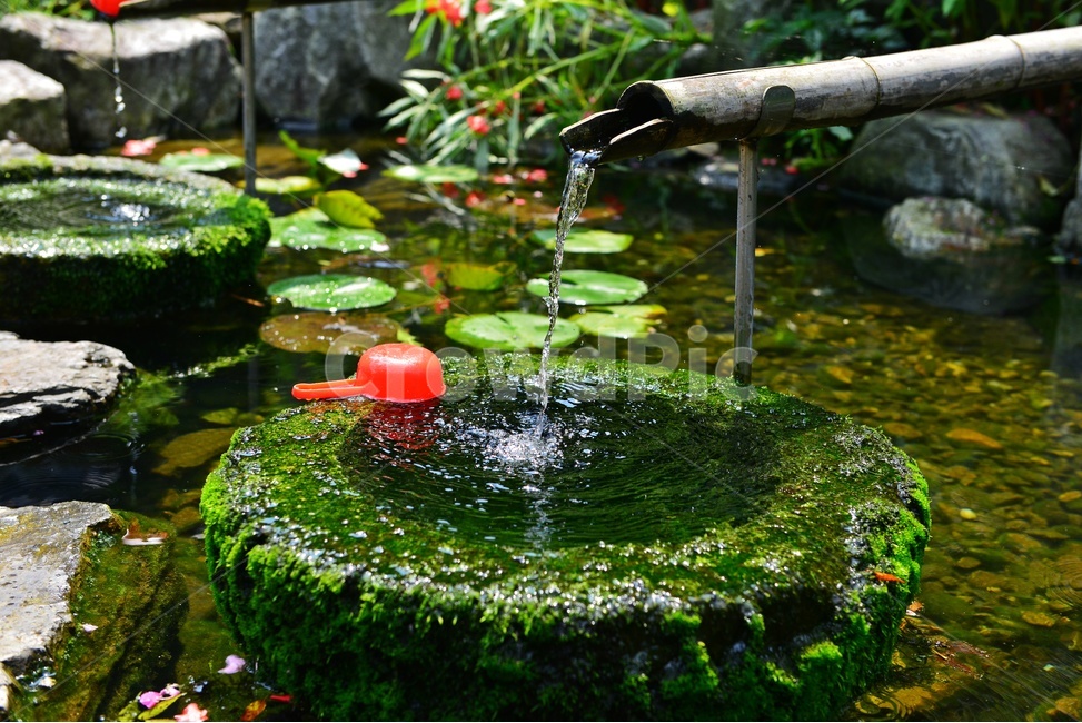nature,자연,물,water,outdoors,옥외,plant,식물,flagstone,판석,돌다리,학독,돌학독,대나무,물흐름,식수,바가지,프라스틱,프라스틱바가지