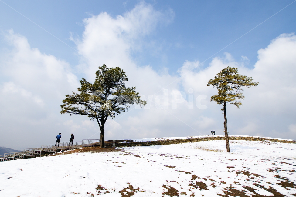 tree,나무,human,겨울,등산,설경,겨울,계절,winter,season,자연,풍경,nature,landscape