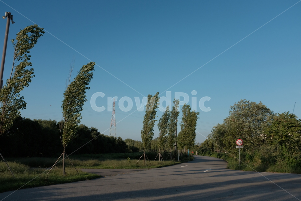 나무,길,하늘,공원,산책로,자연,풍경,nature,landscape,road,도로,asphalt,아스팔트