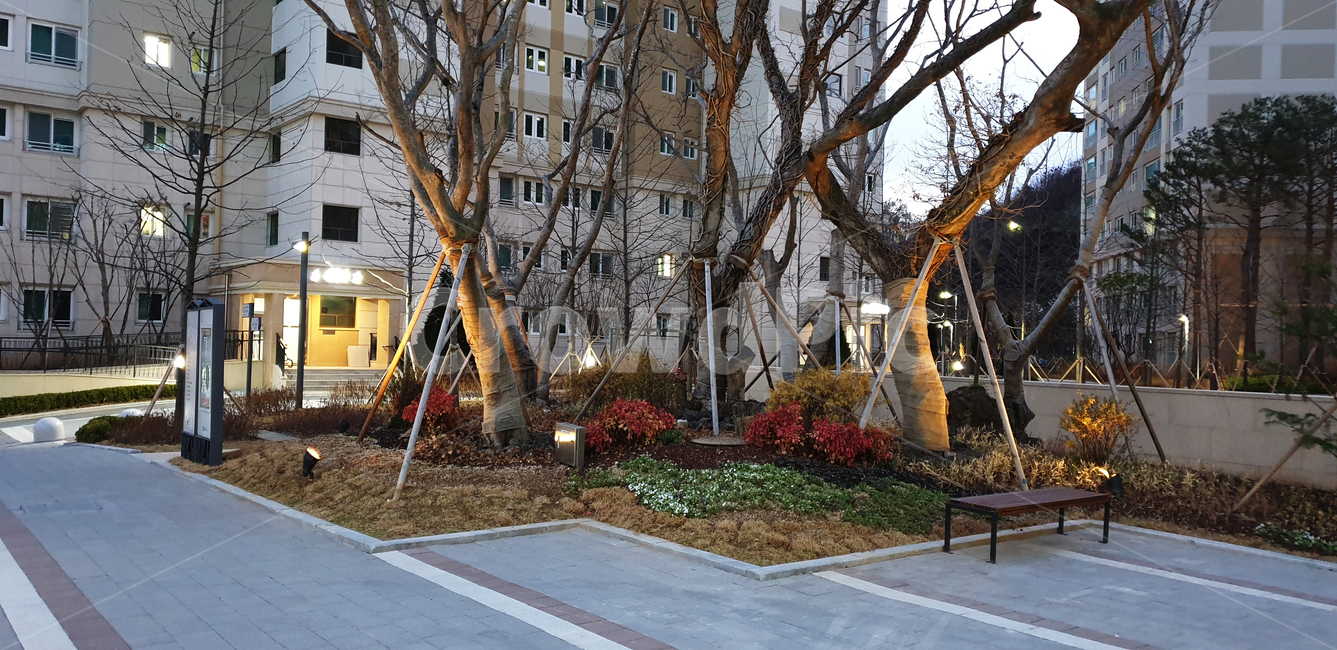 나무,식물,공원,야외시설,조경,건물,아파트,tree,plant,park,outdoor,building,apartment,houseview