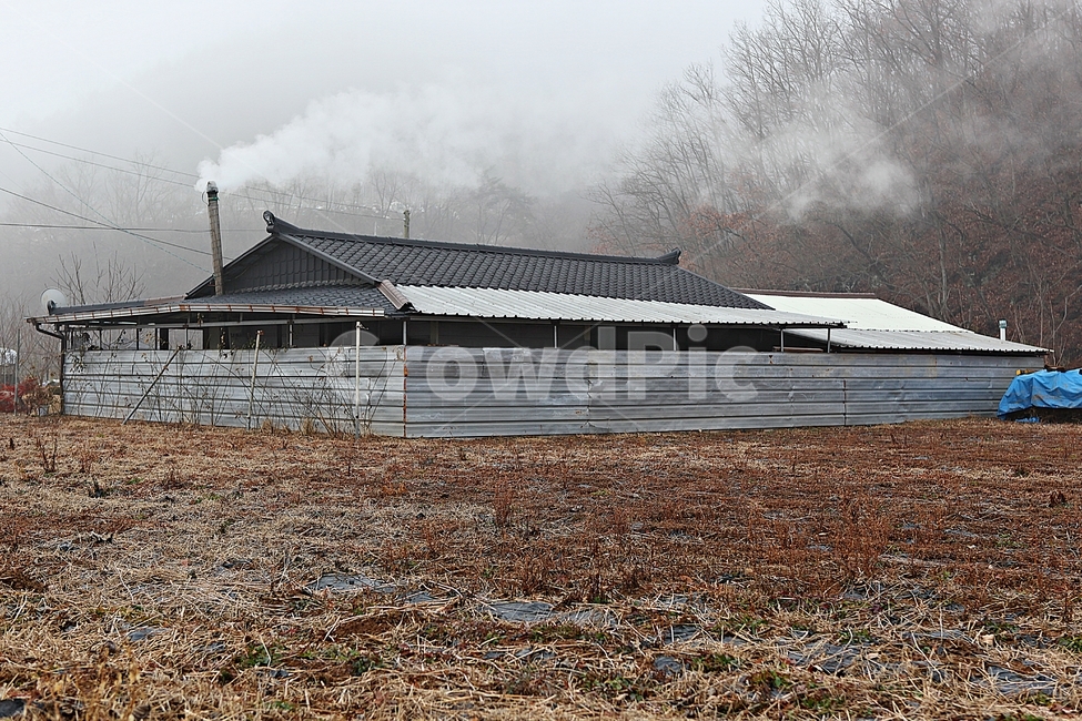집,시골집,굴뚝,연기,텃밭,밭,자연,풍경,시골,마을,풍경,landscape,country,rural,town