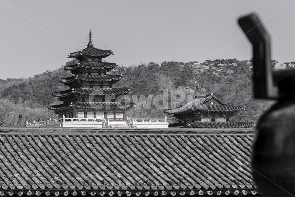 기와,고궁,한국의미,지붕,선,한국전통,한국문화,korean traditional,korean culture,랜드마크,landmark,tourist attraction,한국랜드마크,한국관광지,한국명소,korea landmark,korea tourist attraction,흑백,모노톤,monochrome,black and white