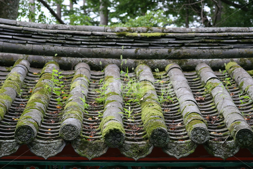 한국전통,처마,구름,사찰,오래된기와,exterior,korea,koreaculture,architecture,construction,traditional