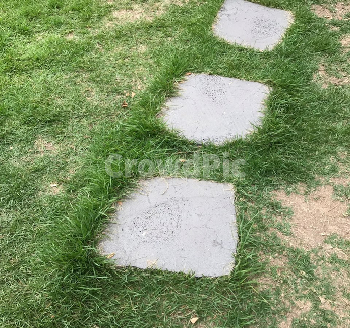 오솔길,바닥,길,지름길,잡초