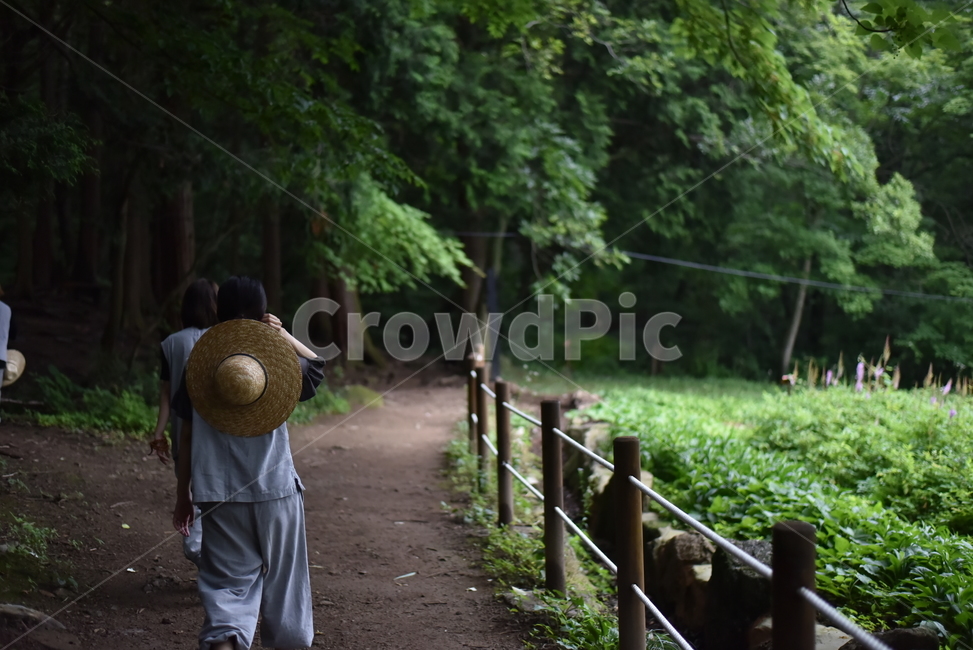 템플스테이,산책,숲,길,밀짚모자,나무,트레킹,자연,풍경,nature,landscape,사람,인물,인간,human,person