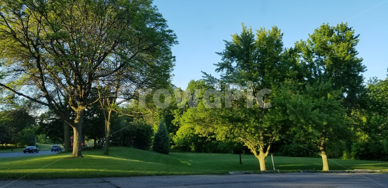 나무,도로,공원,잔디,하늘,파란하늘,sky,grass,plant,tree,park,outdoors,blue,자연,풍경,nature,landscape,식물