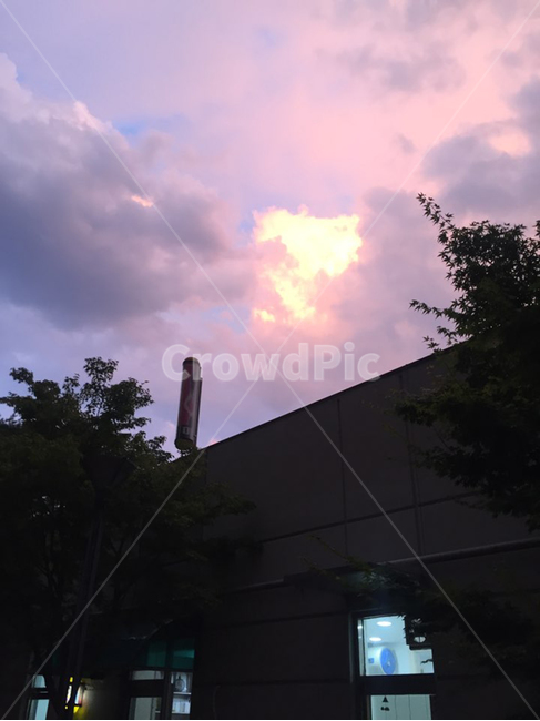 light,빛,flare,플레어,nature,자연,날씨,weather,옥외,outdoors,sunlight,햇빛,석양,하늘,sky