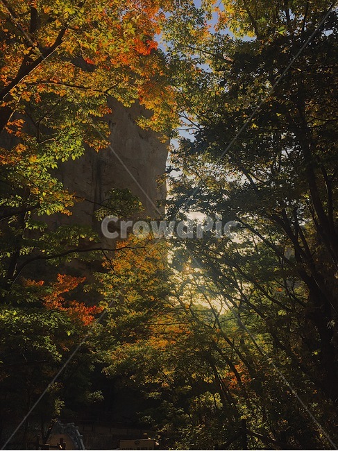 가을,산,산행,단풍,자연,autumn,mountain,hiking,maple,nature,자연,풍경,nature,landscape