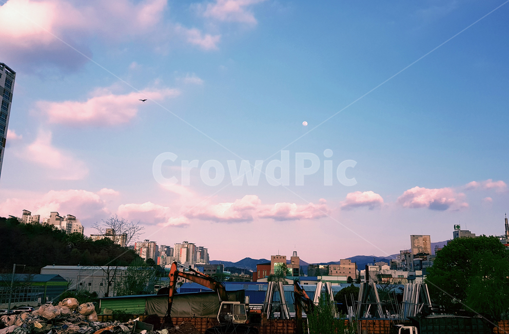 하늘,달,풍경,새,구름,쓰레기,sky,cloud,moon,bird,산,나무,동네