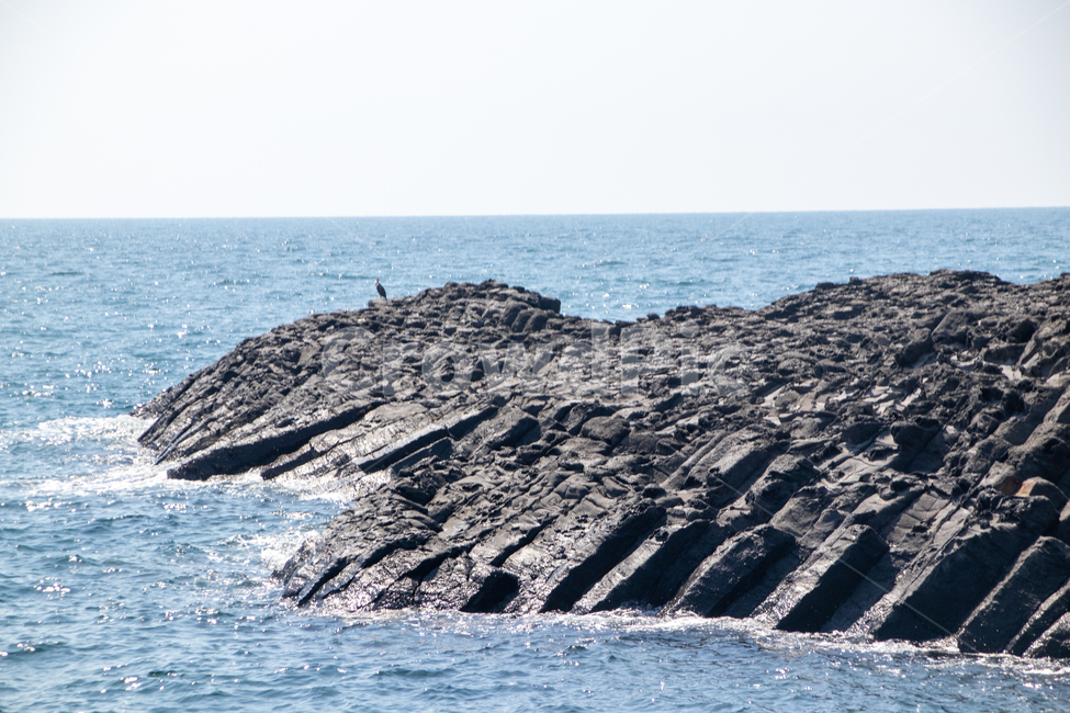 자연,제주도,바다,바위,주상절리,자연,풍경,nature,landscape,제주도,jeju,jeju island
