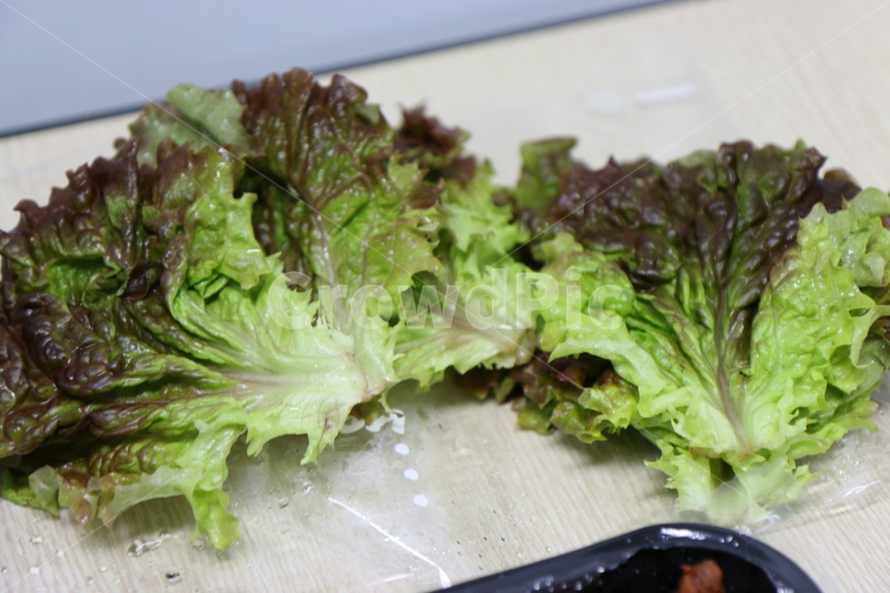 상추,음식,채소,야채,쌈,음식,식재료,요리,food,cook,meal,dishes,food reserves,채소,야채,vegetables