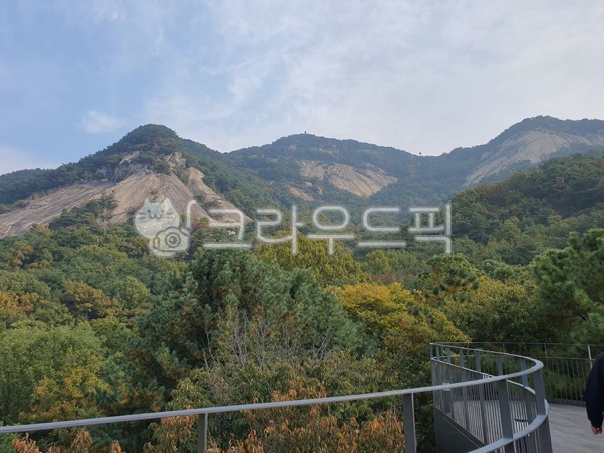 초목, railing, 언덕, nature, 자연, 사진,이미지,일러스트,캘리그라피 - 양파스토리작가
