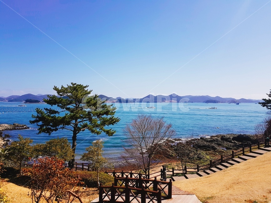 통영,공원,바다,경상남도,이순신공원,자연,풍경,nature,landscape,tree,나무,plant,식물