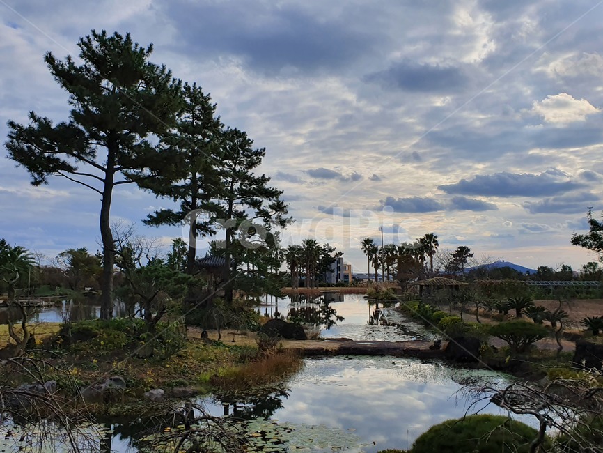 제주도,제주풍경,자연,nature,물,나무,water,tree,outdoor