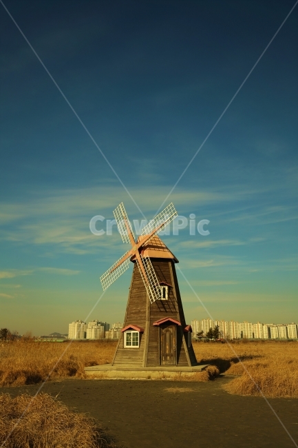 갈대,풍차,자연풍경,풍경사진,감성사진,여행,도시,풍경,city,landscape,한국도시풍경,한국도시경관,korea cityscape,machine,기계,engine,엔진,motor,모터