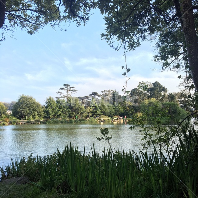 water,물,nature,자연,outdoors,옥외