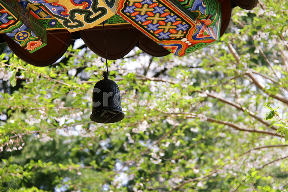 자연,봄,풍경소리,바람,한옥,한국전통,처마,단청,한국전통,한국문화,korean traditional,korean culture,종교,신앙,religion,belief,faith,건축물,건물외관,exterior,building,structure,architecture,construction