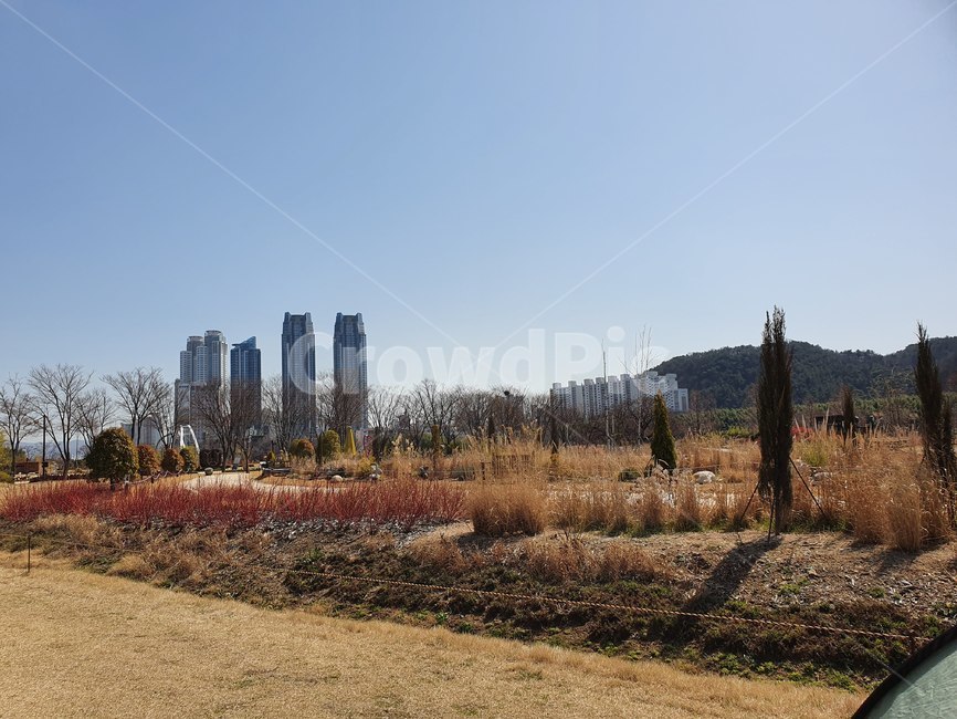 outdoors,옥외,대나무숲,잔디,자연,nature,plant,식물,tree,나무,공원,산책,대나무,숲,하늘,봄,봄날,오솔길,산책길,forest,sky,spring,park,road,sand,도시뷰,빌딩,building,cityview,울산,울산대공원,대공원