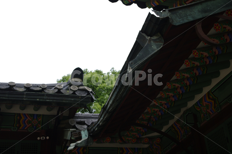 창덕궁,고궁,전각,한옥,전통가옥,기와지붕,건축,traditional,처마,한국전통,한국문화,korean traditional,korean culture,건축물,건물외관,exterior,building,structure,architecture,construction