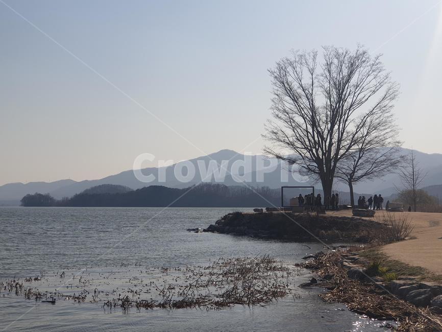두물머리,양평,풍경,나무,산