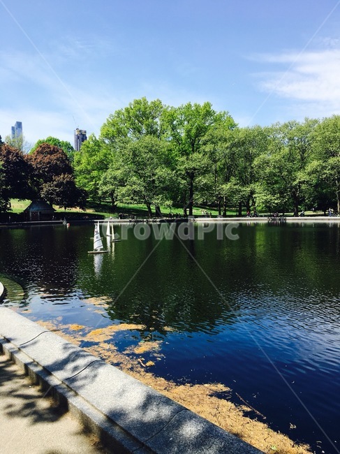 자연,휴식,안정,센트럴파크,centralpark,도심공원