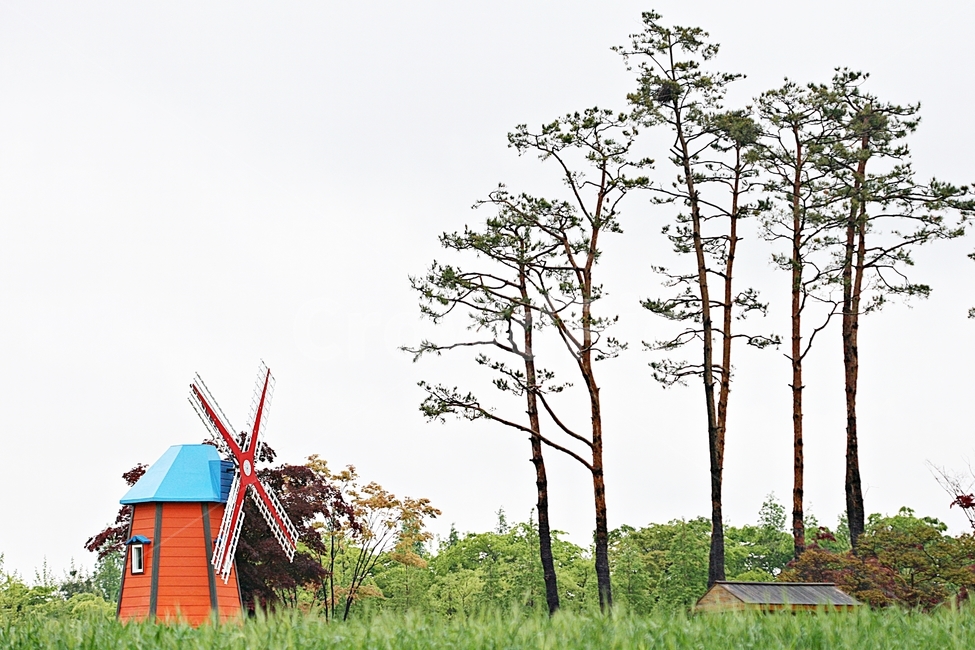 풍차,바람,자연,나무,배경,자연,풍경,nature,landscape,건축물,건물외관,exterior,building,structure,architecture,construction,outdoors,옥외,건물,housing,주택