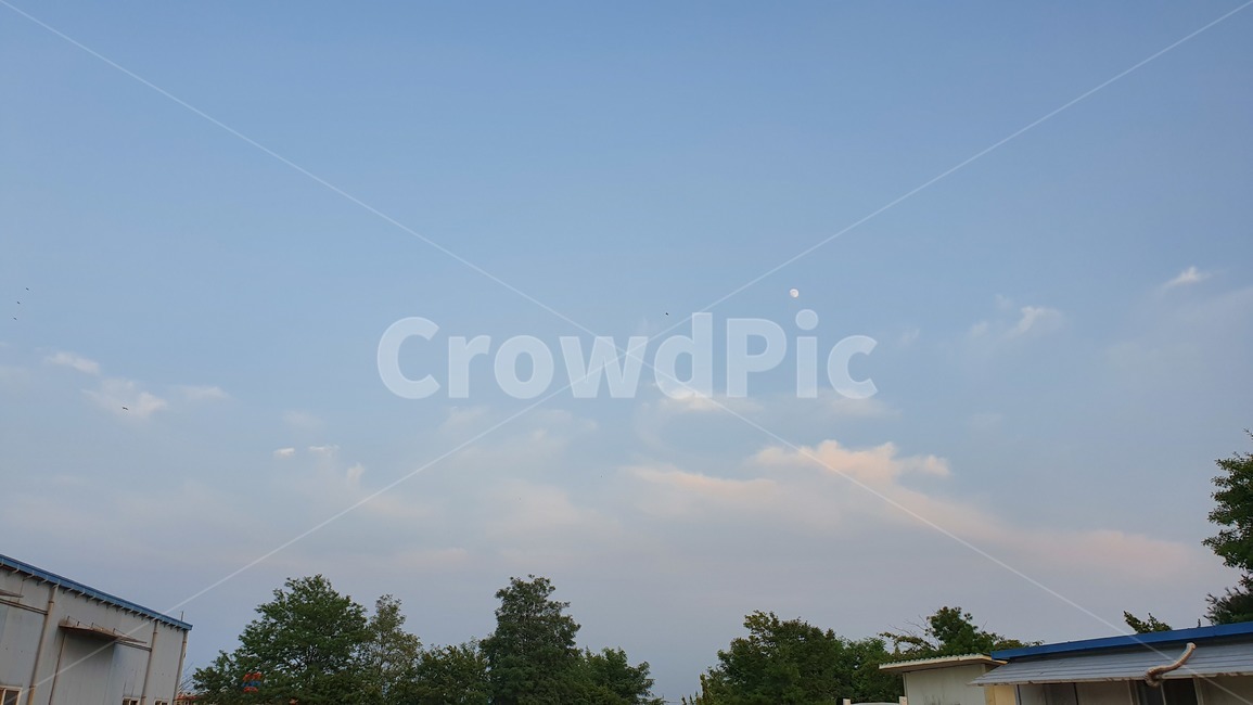 nature,자연,outdoors,옥외,하늘,나무