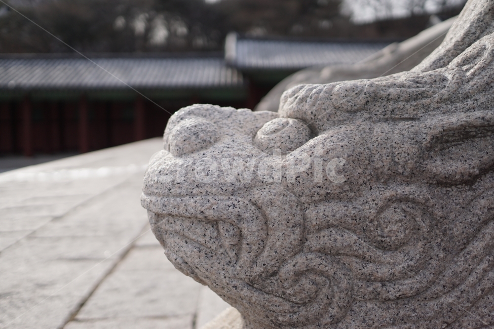 construct,landscpe,tile,sight,Palace,tree,history,traditional pattern,Gyeonghuigung Palace,Gyeongdeokgung Palace,seoul,Joseon Dynasty,korea,civil engineering,Hanok,eaves,piece,ruins,animal,Eastern,Korean tradition,culturalassets,Historic sites,pattern,win