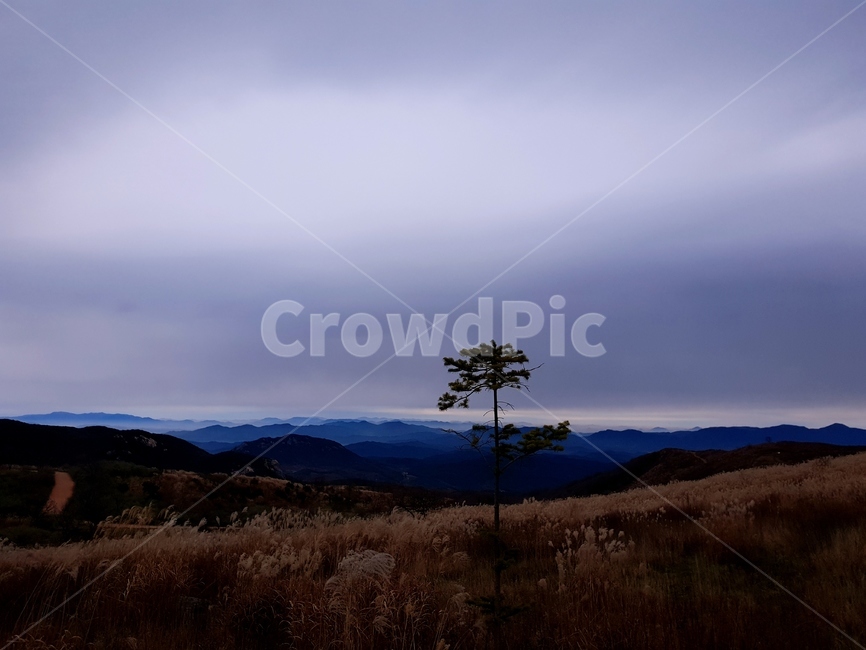 산,황매산,억새,구름,풍경,nature,자연,outdoors,옥외