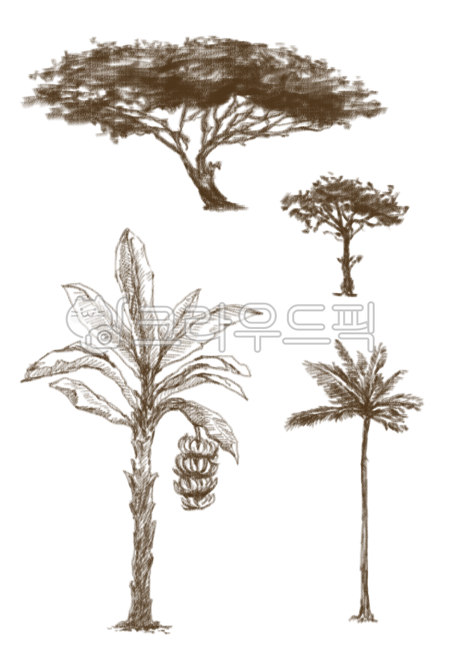 banana,forest,clipart,tree,png,pattern,tree icon,solid color,tree clipart,tropical tree,line art,tree illustration,tree picture,illustration,autumn,banana tree