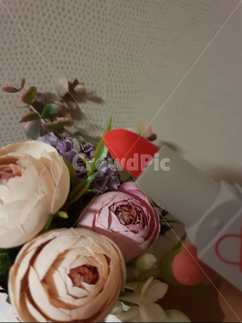 립스틱,장미,레드,화장품,꽃,메이크업